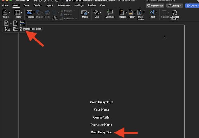 A screenshot demonstrating where to find and apply the page break.